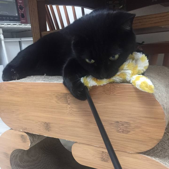 F13d2276 e7b0 4400 b8a7 fb9ccdf7830f