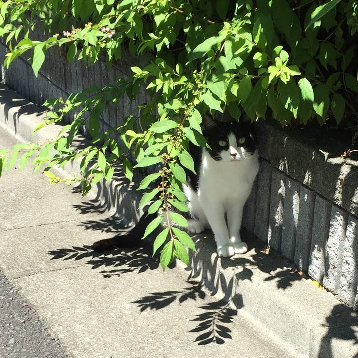 F13d2913 ac7d 4817 adba 11a97c57f8a0