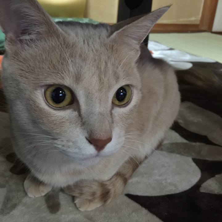 F13d4215 d1ce 40af 9a23 44d060f5307a