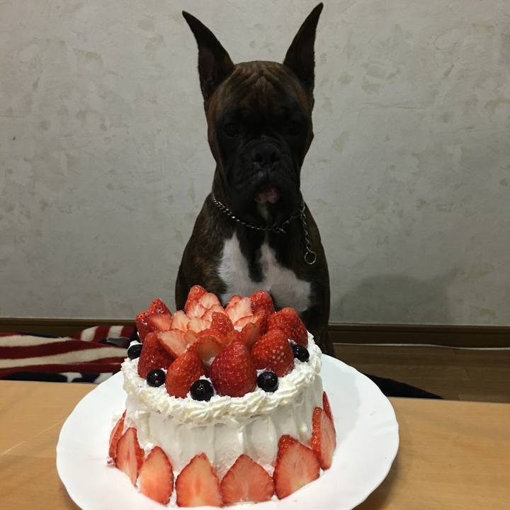 F13e150a 15e2 4031 8454 353621a11c8b