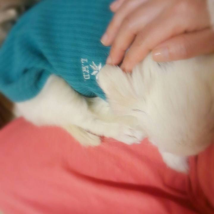 F13e5798 8fc6 432b 8780 fe1a23179147