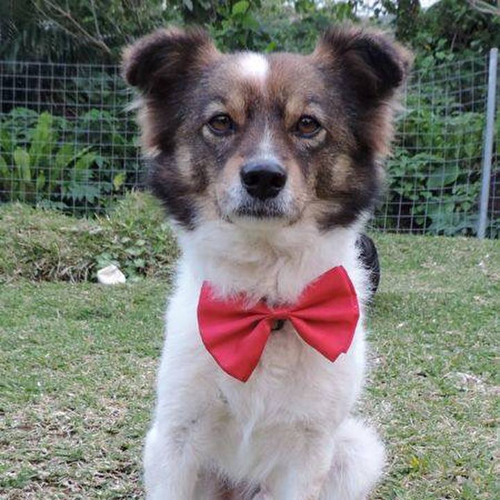 F13e7555 67a5 429c 930d 6f5d1b01e914