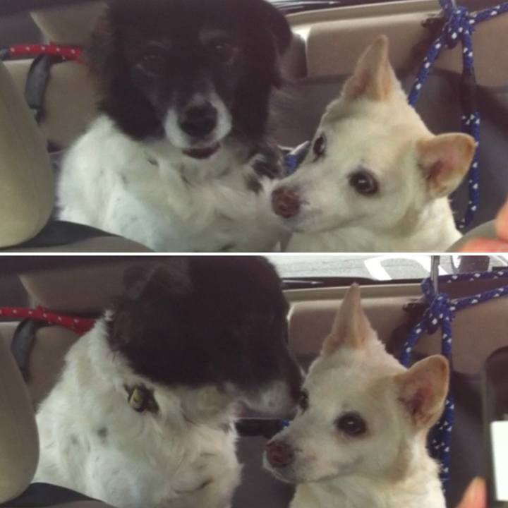 F13f7807 381c 49fe 9354 82a507c29946