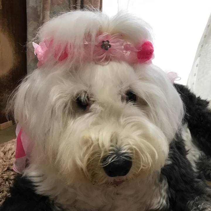 F13ff156 08d1 4099 a3bb 3de40a558e63