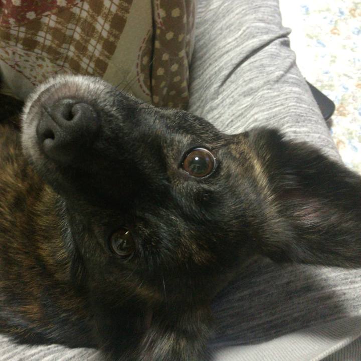 F140035b 1350 4e7f 9c33 6aa20120d7a6