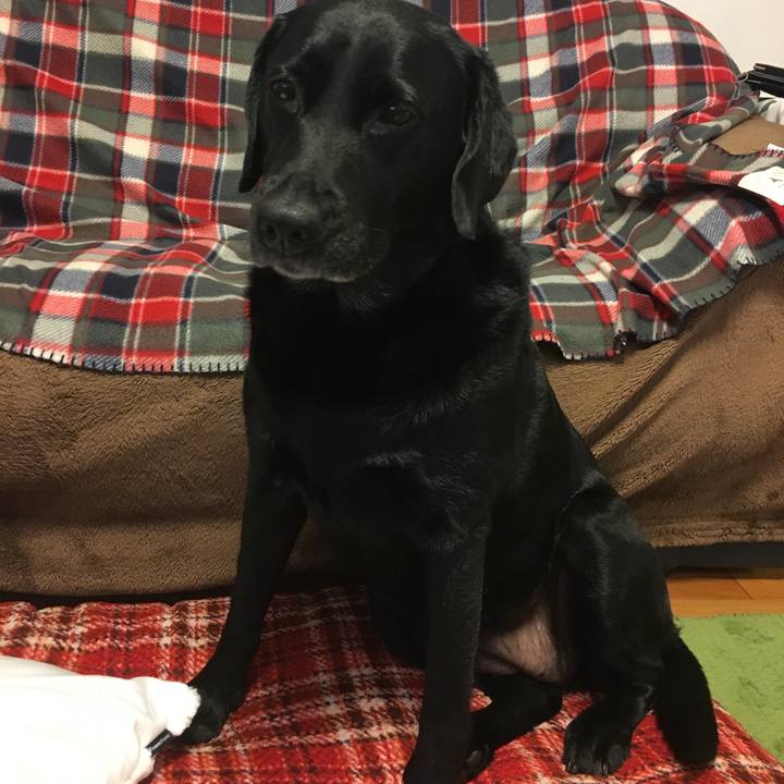 F140d1bc 13df 473d ba6b a95df0c20d1b