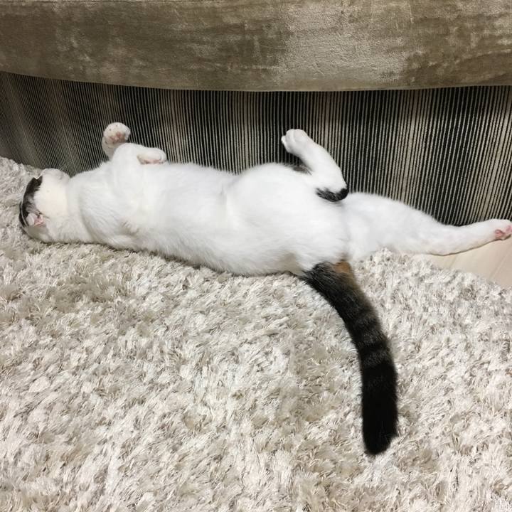 F140d399 b861 42ef b8a8 340cf6815057