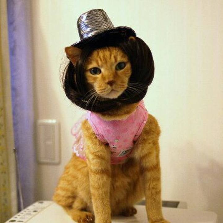 F1413d66 b969 406c a0bc b36e8d85803e