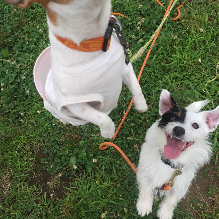 F1423422 adce 40e0 9404 6e747dfe12a8