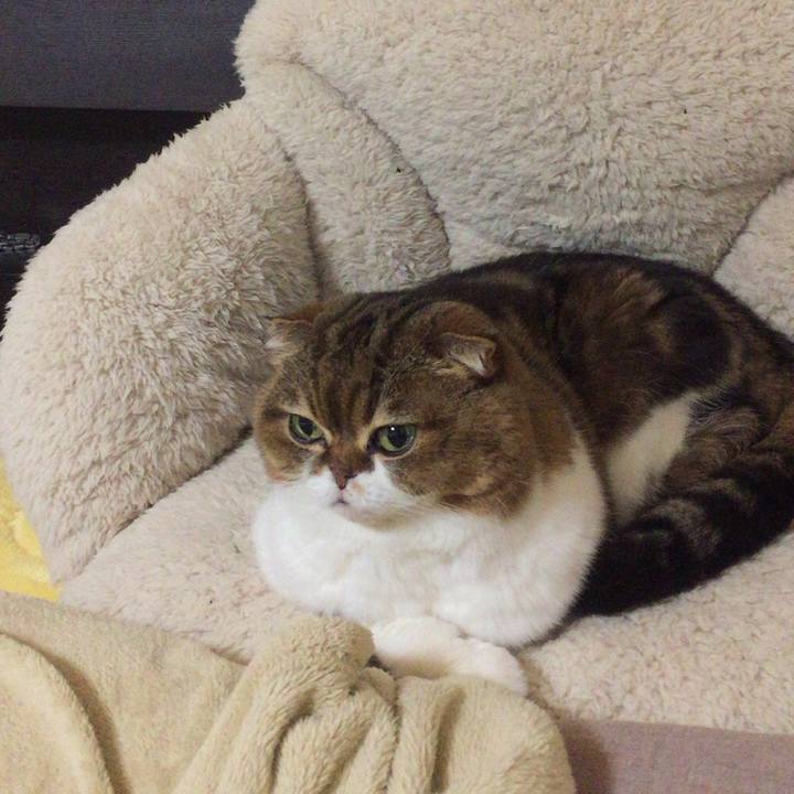 F14235d8 c201 4834 b09b ba82759486de