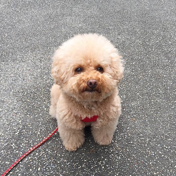 F142c0bb 455e 430a a583 f576bf58d180