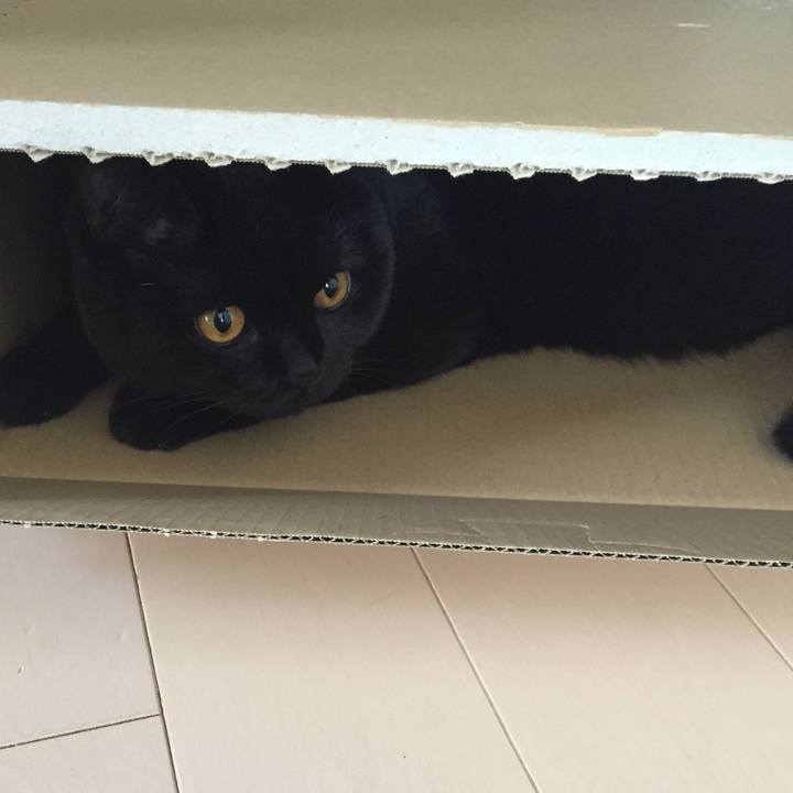 F142e03d 322f 43bd 9310 002f2922d56d