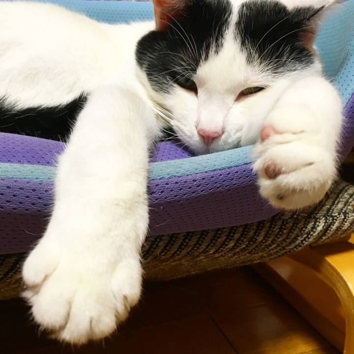 F142e234 0a8f 4173 81b8 28f6aa8f23f7