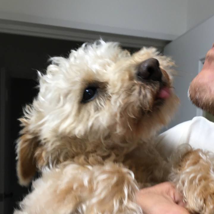 F1442968 fd3f 4316 aa16 47c5d4a0d5a0