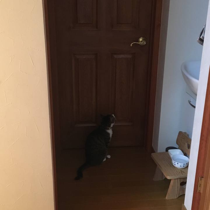 F144bac7 2512 4a91 87fd 1004cbbe470e