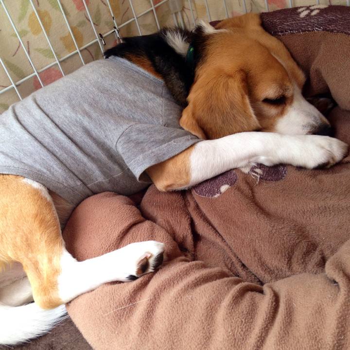 F144d7d6 91bd 424b 90a5 a25e35a27676