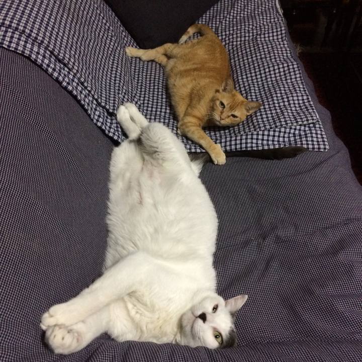 F1454e2d 66f1 4d7b 99f5 bc01b17e0b9e