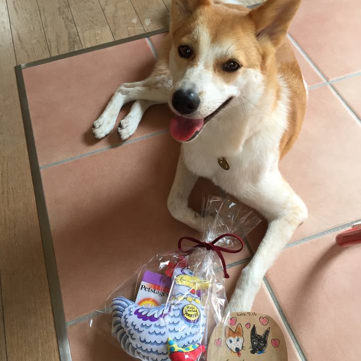 F145b7ca 10da 447e a35b ae734b2918f9