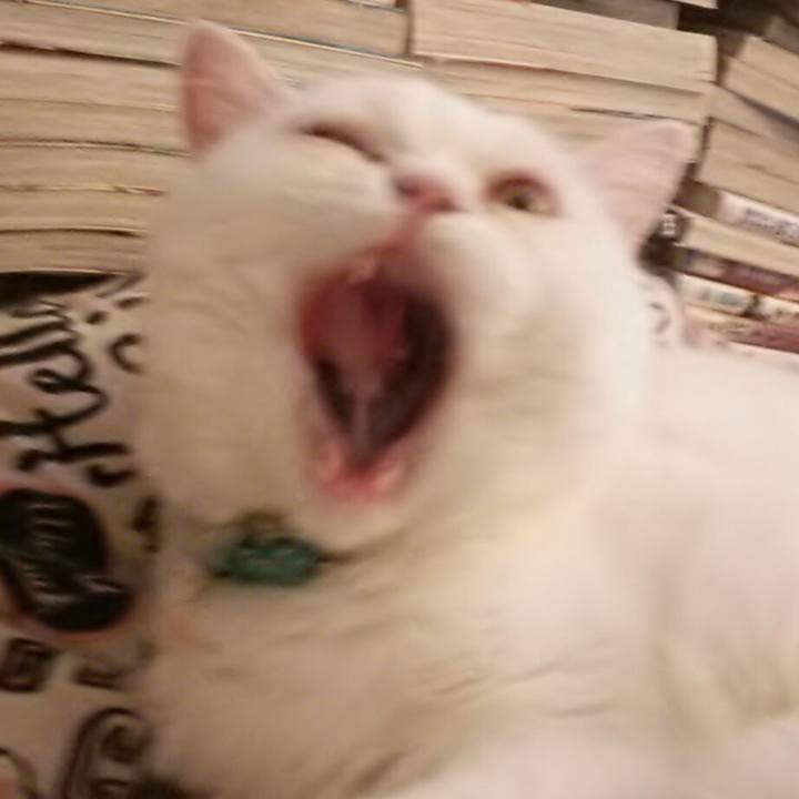 F1468480 9e83 489b aecf 69463fad8cb3