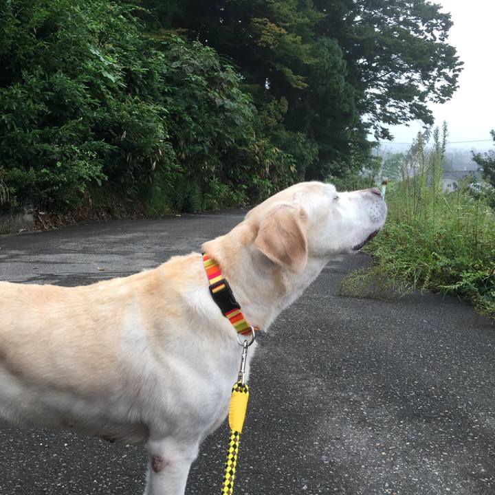 F1472a67 41d2 4161 896f be322e3e6735