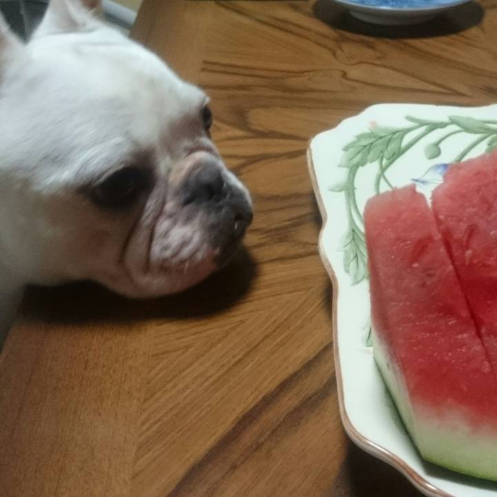 F1477e00 ce31 4f2e 8980 25ba18b95595