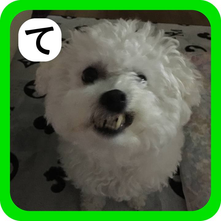 F1478f65 f646 417f 97a1 6632a530598a