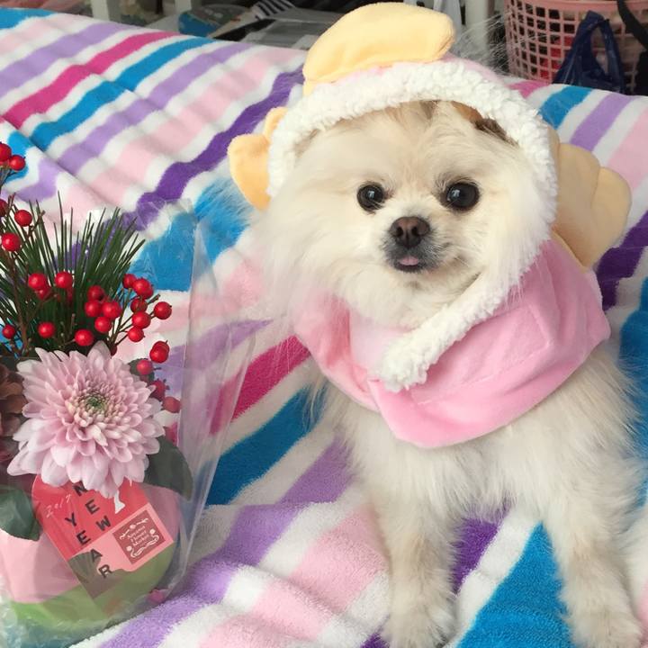 F147e6e4 2b3f 434d 83df 30c1a20ca8f1