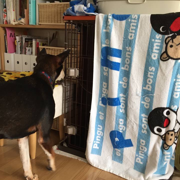 F148e1bb 6b58 4f54 bc5c ab790154be08