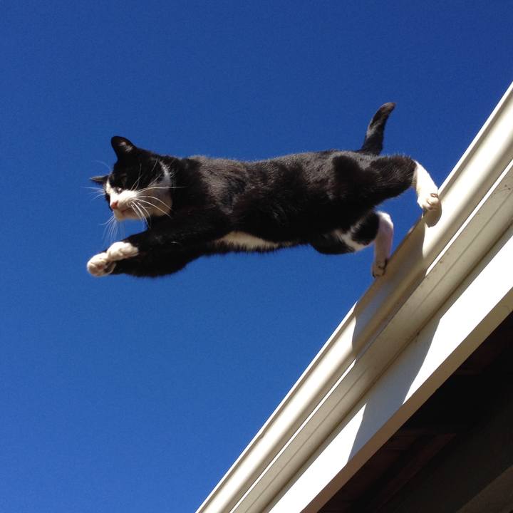 F149643d f35c 48cc b1c6 32f7c14b261a