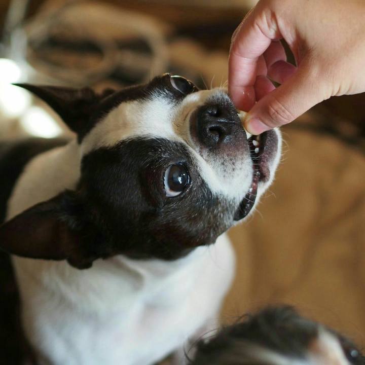 F149660f f0a1 4839 ad8f 3ac532c2a7ac