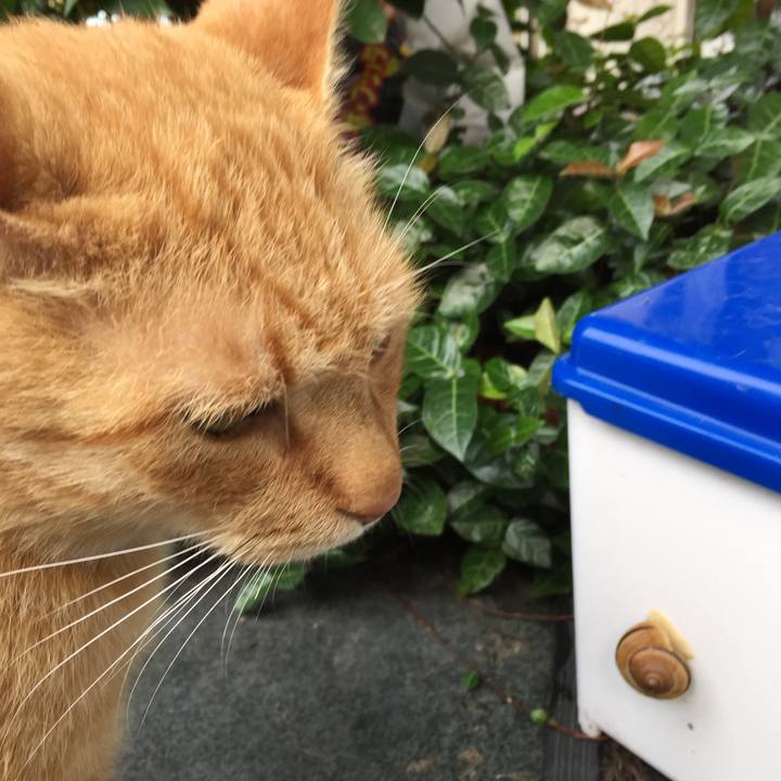 F1497ec6 bd94 4602 b8c1 2a24fcdd99c9