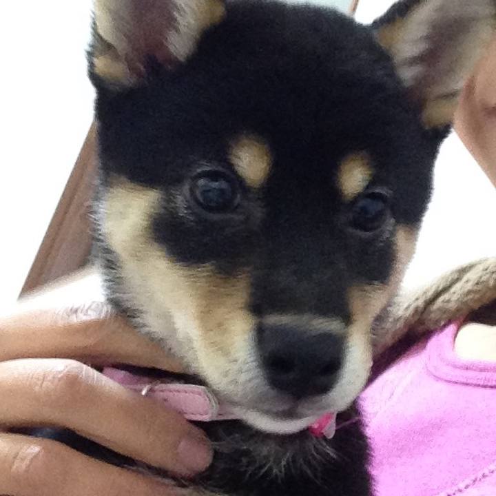 F1499bbd da74 448b b175 6fa0ad05b4d9