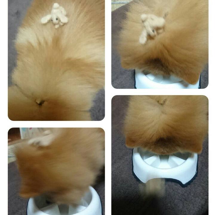 F1499cd8 ad1a 418e bce0 f7bffccf8e89