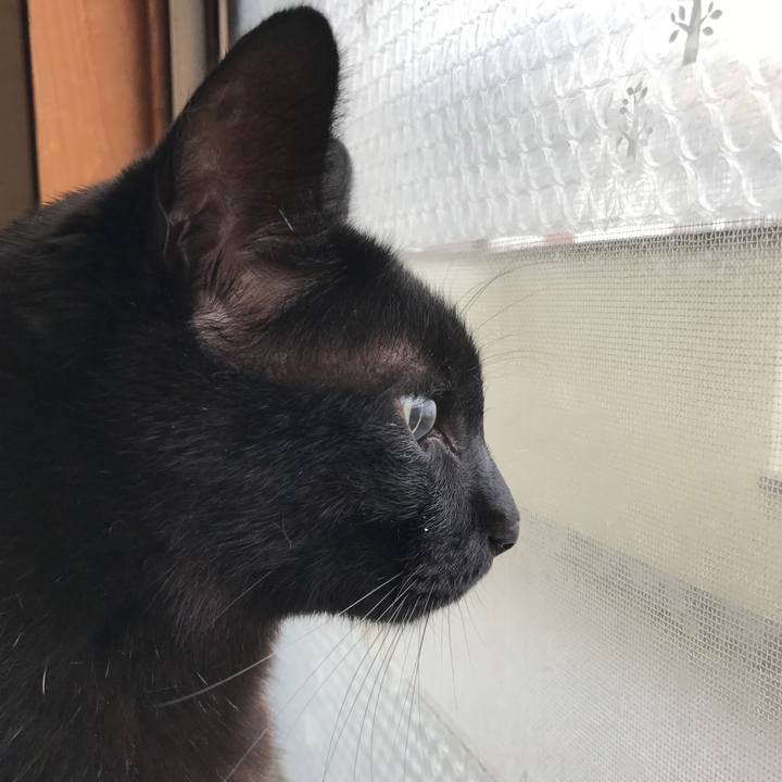 F149ceca ce2d 4e6f 9400 8723fcb716e2