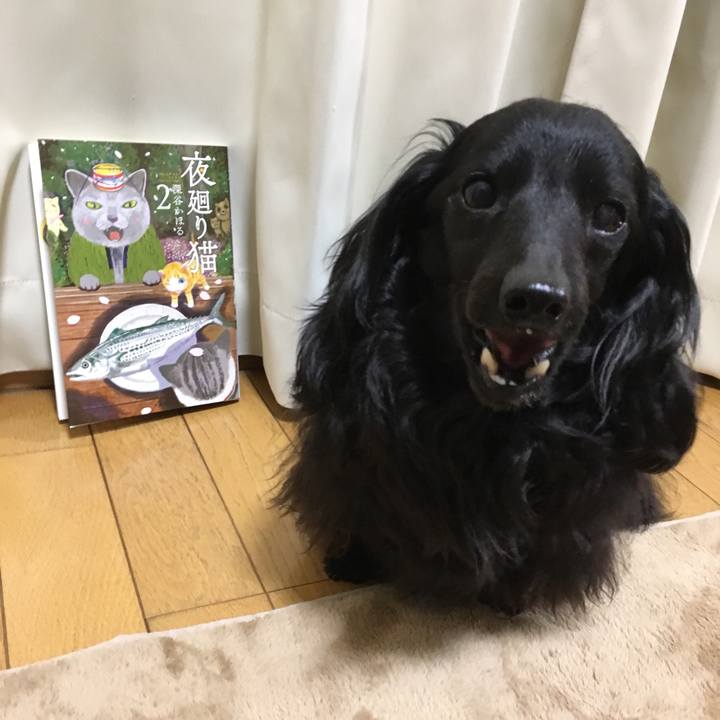 F149cefb dac4 402f adae 133f5571beac