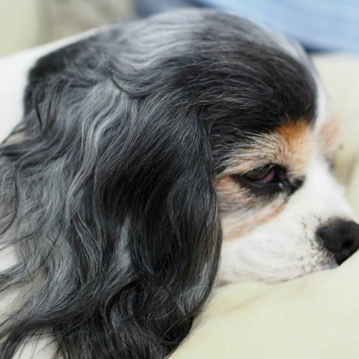 F14aa989 5706 49eb 9dc3 adcbe142b340