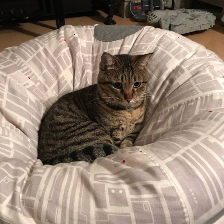 F14aaa60 943f 4188 a981 4b7ab0f22bc5