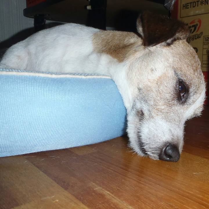 F14b9ef0 d1b9 42c4 a8e0 210bedfbd968