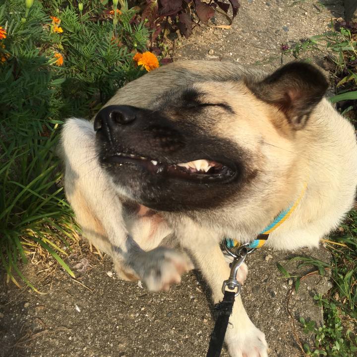 F14be3f6 42d6 4545 8411 ebe2ece268ea