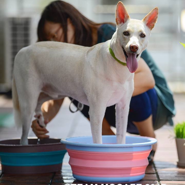 F14c55ae daa2 4894 8989 c9fb5c17c7d2