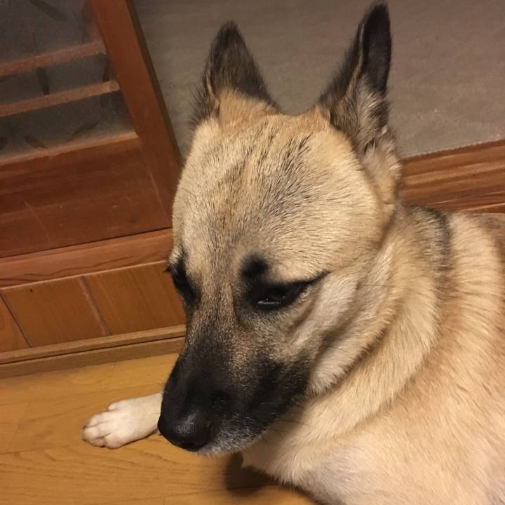 F14c75cc 0a68 4236 9724 4ce4a0acc03d