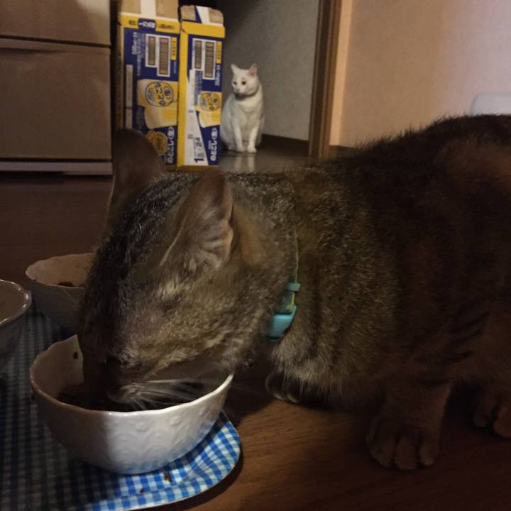 F14cbb3e f3a6 4f9d 80b7 f1b517d70f6d