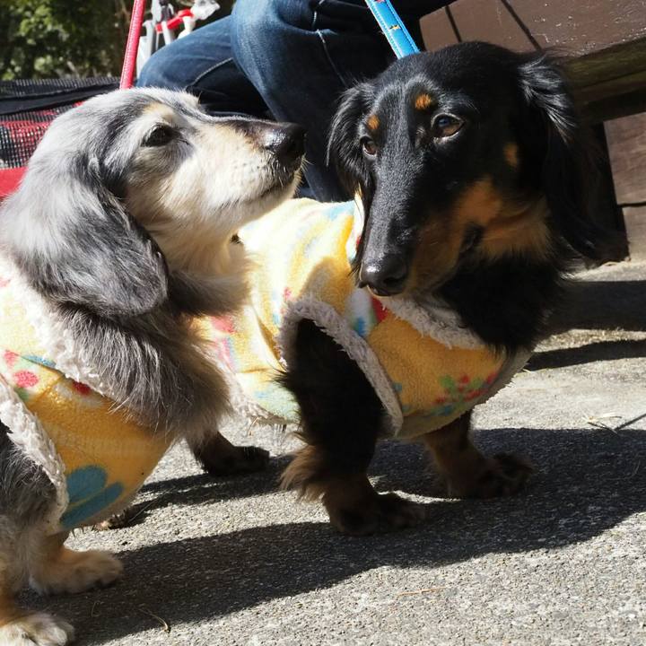 F14d0703 0b4d 4624 8fae dd3dde6cc999