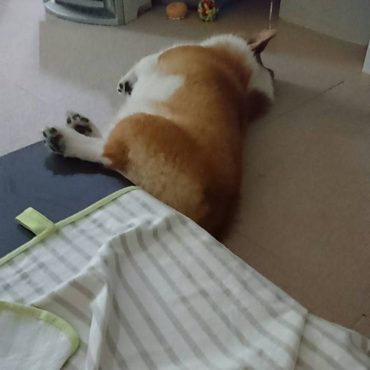 F14d0cfa 42f9 43fe 98fa d47077ac44d9