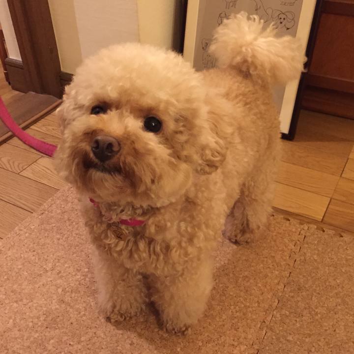 F14d7766 89a8 4a77 87c9 2e15e806579b