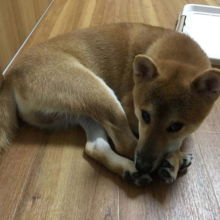 F14e7f0e 3577 4955 89db 37029355b4bf