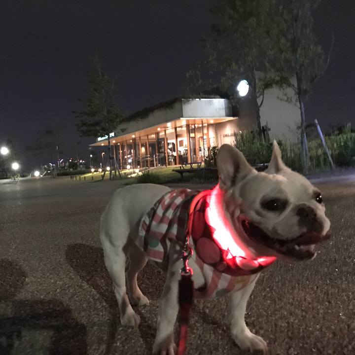 F14edfdf 0b91 4b5b 9b56 c4d8272b31fa