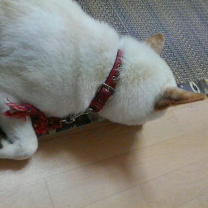 F14eeba9 45e3 4d79 b919 bcd2e34a93d6