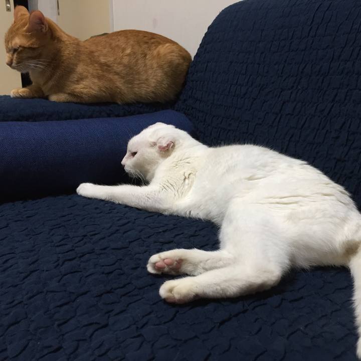 F14f6420 111d 4181 a564 86d9bb8b2d84