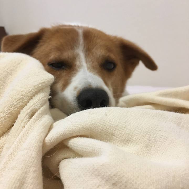 F14fcd24 d3c2 4978 bc07 7fcc1912e754